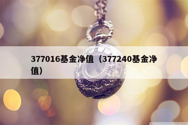 377016基金净值（377240基金净值）