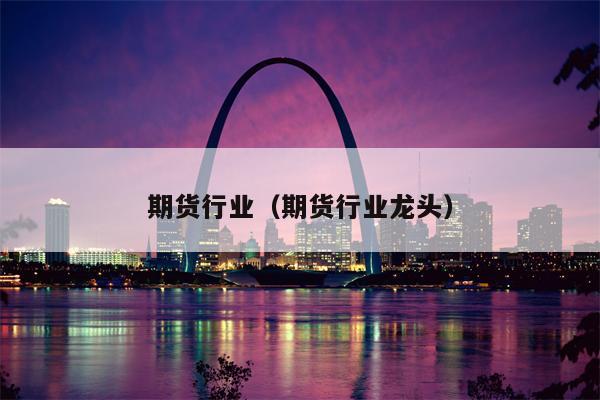 期货行业（期货行业龙头）