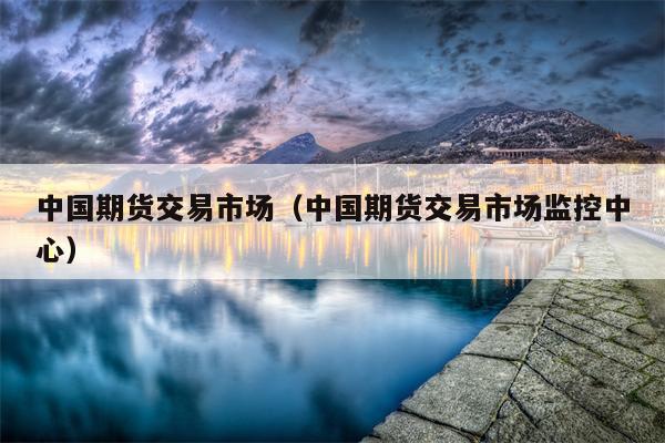 中国期货交易市场（中国期货交易市场监控中心）