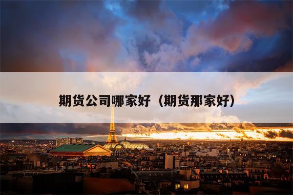 期货公司哪家好（期货那家好）