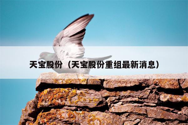 天宝股份（天宝股份重组最新消息）