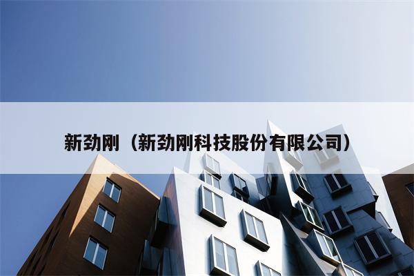 新劲刚（新劲刚科技股份有限公司）