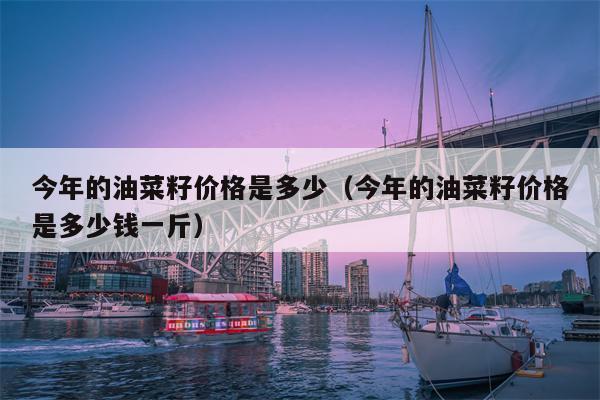 今年的油菜籽价格是多少（今年的油菜籽价格是多少钱一斤）