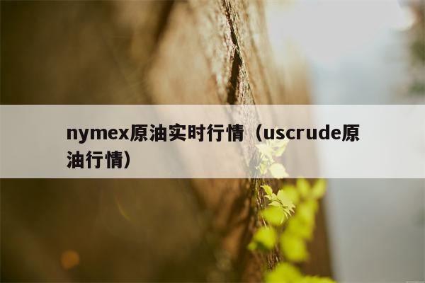 nymex原油实时行情（uscrude原油行情）