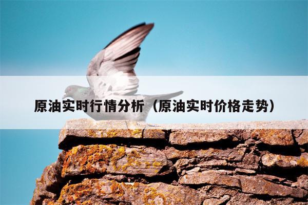原油实时行情分析（原油实时价格走势）