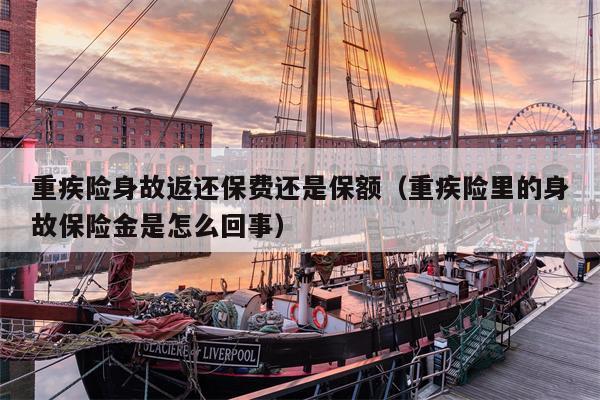 重疾险身故返还保费还是保额（重疾险里的身故保险金是怎么回事）