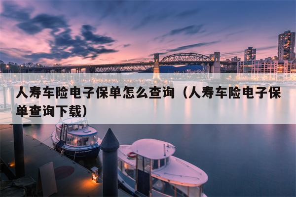 人寿车险电子保单怎么查询（人寿车险电子保单查询下载）