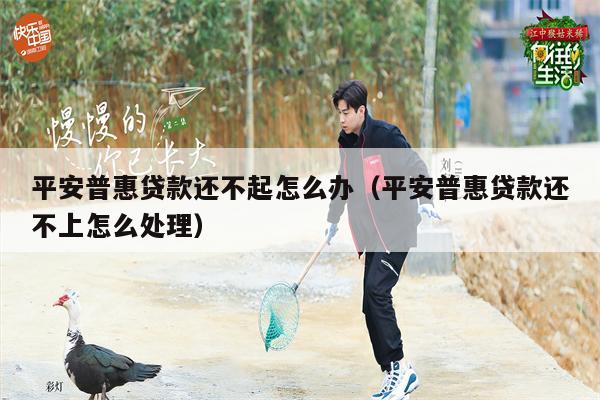 平安普惠贷款还不起怎么办（平安普惠贷款还不上怎么处理）