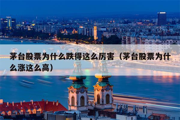 茅台股票为什么跌得这么厉害（茅台股票为什么涨这么高）