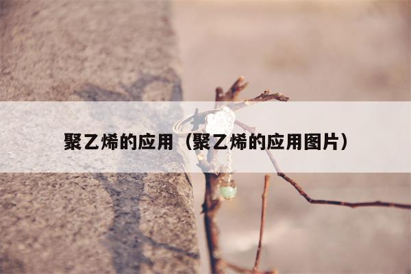 聚乙烯的应用（聚乙烯的应用图片）