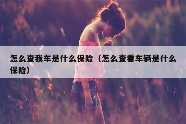 怎么查我车是什么保险（怎么查看车辆是什么保险）