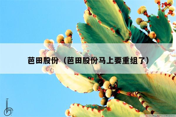 芭田股份（芭田股份马上要重组了）