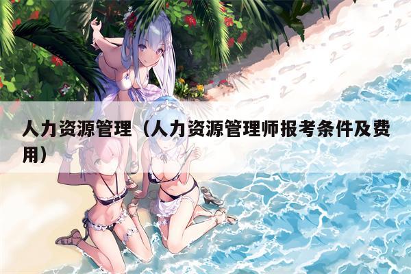 人力资源管理（人力资源管理师报考条件及费用）