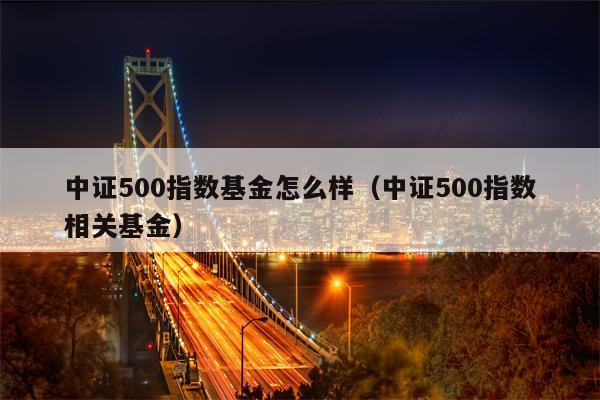 中证500指数基金怎么样（中证500指数相关基金）
