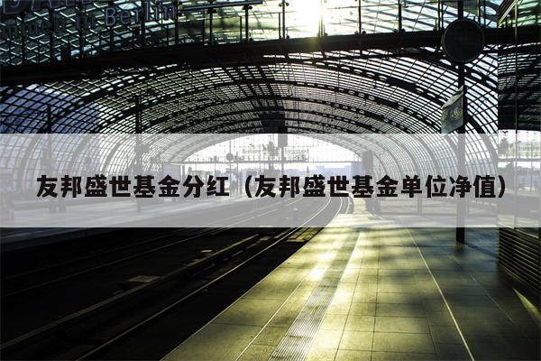 友邦盛世基金分红（友邦盛世基金单位净值）