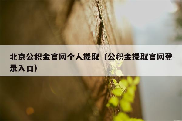 北京公积金官网个人提取（公积金提取官网登录入口）