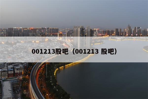 001213股吧（001213 股吧）