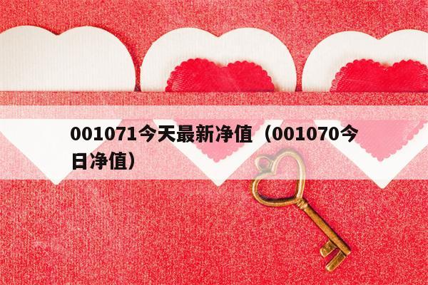 001071今天最新净值（001070今日净值）