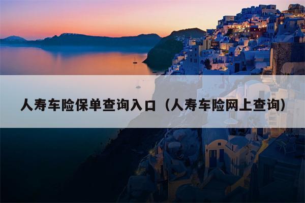 人寿车险保单查询入口（人寿车险网上查询）