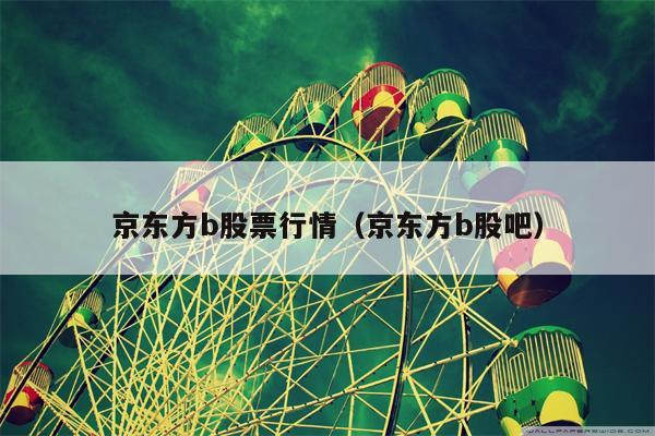 京东方b股票行情（京东方b股吧）
