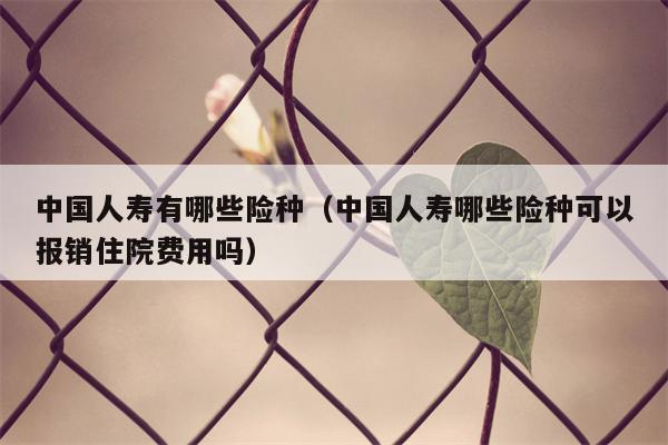 中国人寿有哪些险种（中国人寿哪些险种可以报销住院费用吗）