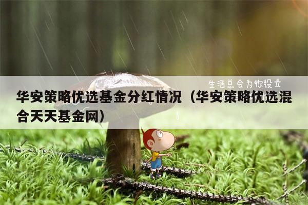 华安策略优选基金分红情况（华安策略优选混合天天基金网）
