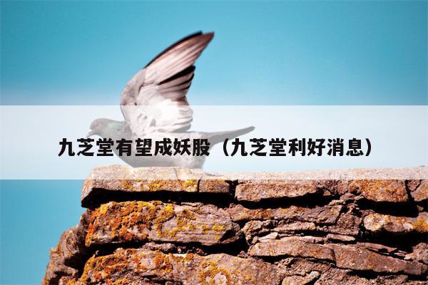 九芝堂有望成妖股（九芝堂利好消息）