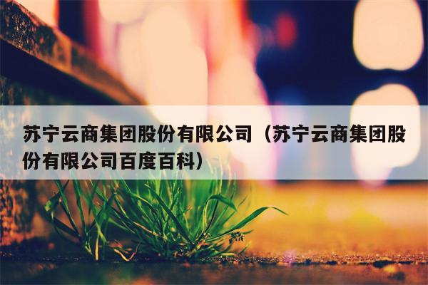 苏宁云商集团股份有限公司（苏宁云商集团股份有限公司百度百科）