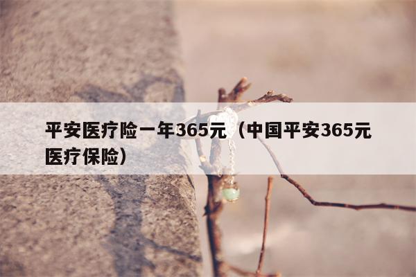 平安医疗险一年365元（中国平安365元医疗保险）