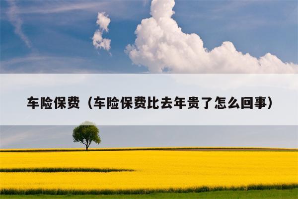 车险保费（车险保费比去年贵了怎么回事）