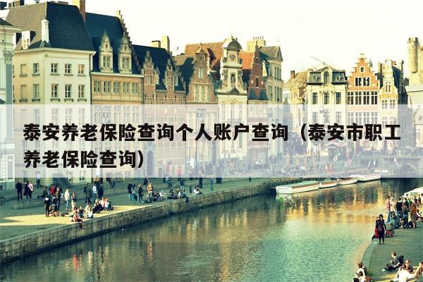 泰安养老保险查询个人账户查询（泰安市职工养老保险查询）
