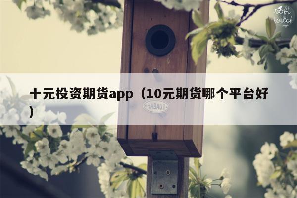 十元投资期货app（10元期货哪个平台好）