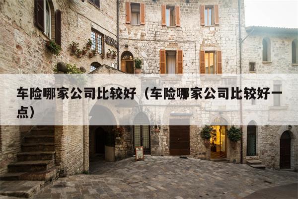 车险哪家公司比较好（车险哪家公司比较好一点）