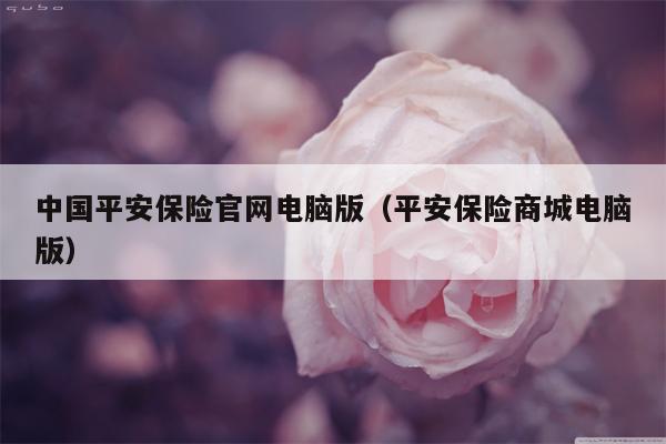 中国平安保险官网电脑版（平安保险商城电脑版）