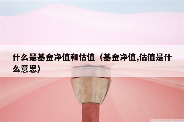什么是基金净值和估值（基金净值,估值是什么意思）