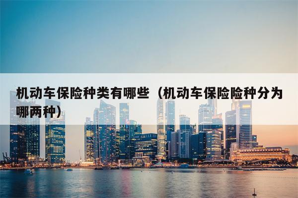 机动车保险种类有哪些（机动车保险险种分为哪两种）