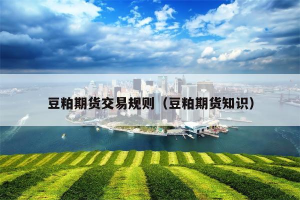 豆粕期货交易规则（豆粕期货知识）