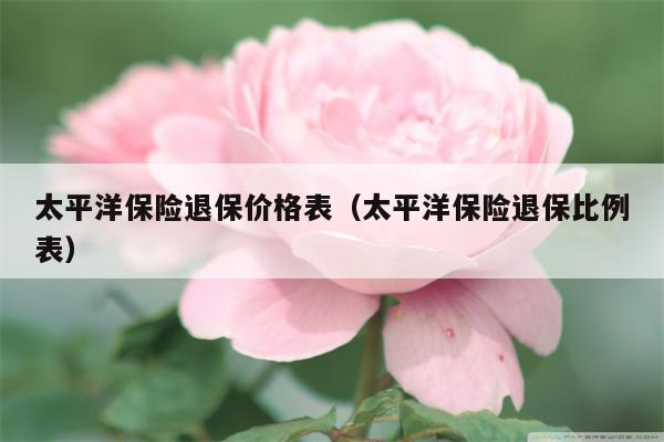 太平洋保险退保价格表（太平洋保险退保比例表）