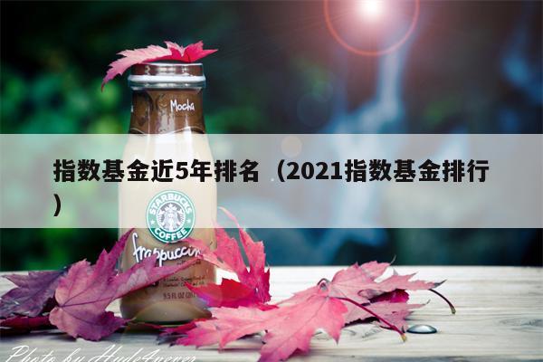 指数基金近5年排名（2021指数基金排行）