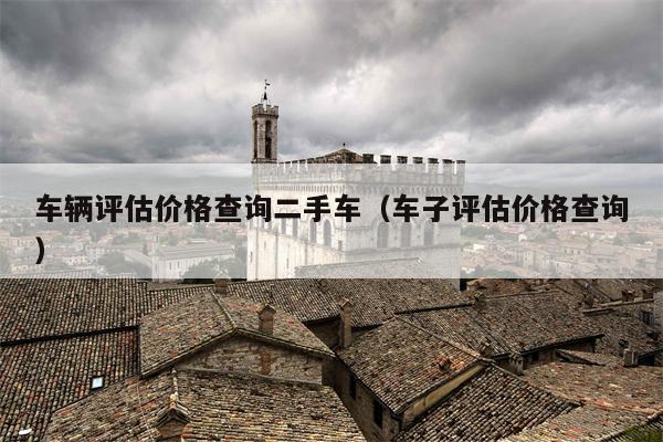 车辆评估价格查询二手车（车子评估价格查询）