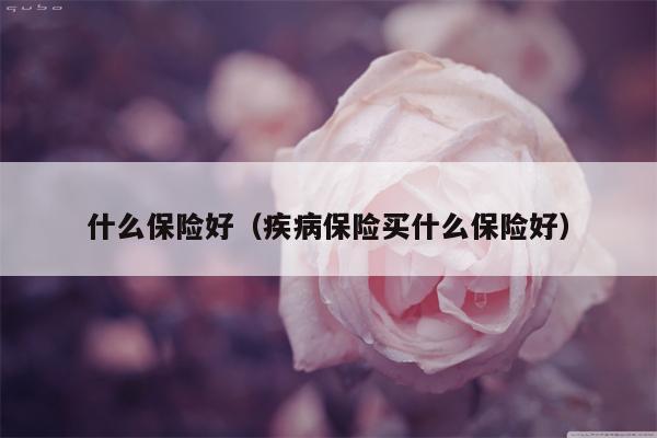 什么保险好（疾病保险买什么保险好）