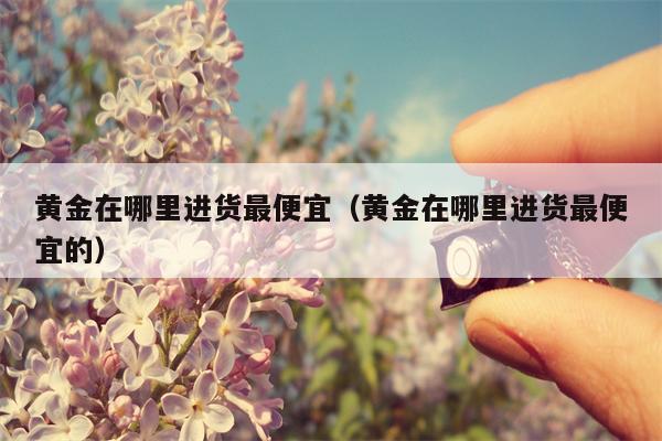 黄金在哪里进货最便宜（黄金在哪里进货最便宜的）
