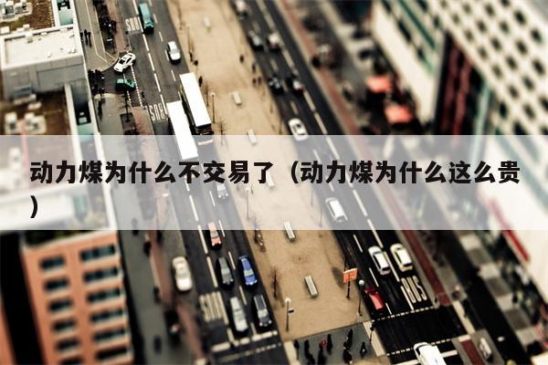 动力煤为什么不交易了（动力煤为什么这么贵）