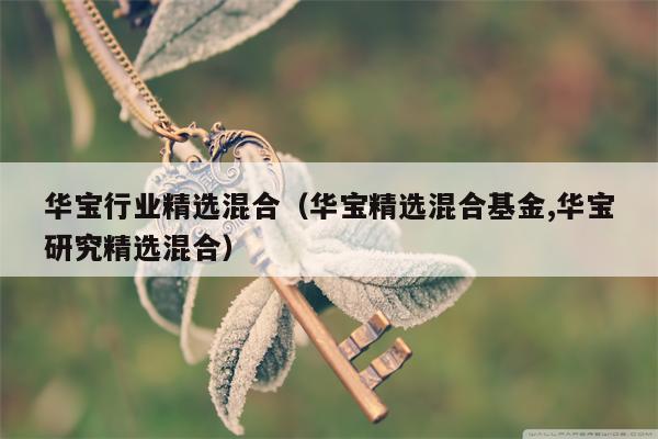 华宝行业精选混合（华宝精选混合基金,华宝研究精选混合）