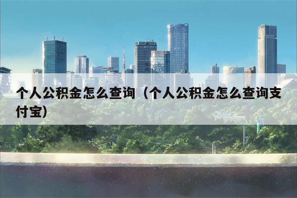 个人公积金怎么查询（个人公积金怎么查询支付宝）