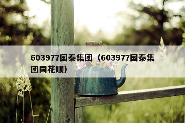603977国泰集团（603977国泰集团同花顺）