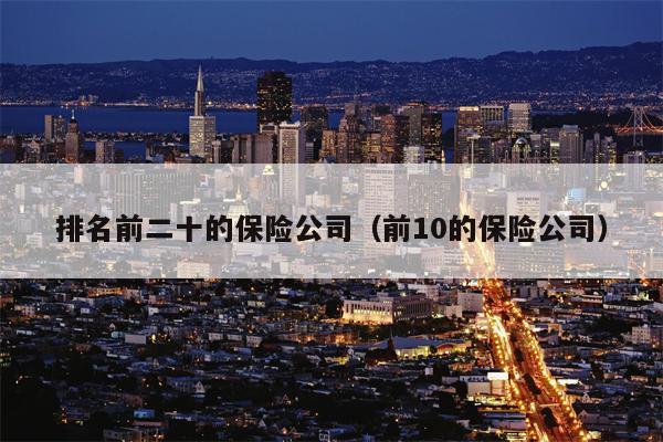 排名前二十的保险公司（前10的保险公司）