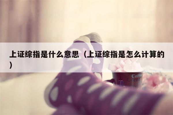 上证综指是什么意思（上证综指是怎么计算的）