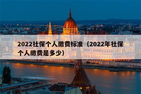 2022社保个人缴费标准（2022年社保个人缴费是多少）