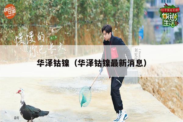 华泽钴镍（华泽钴镍最新消息）
